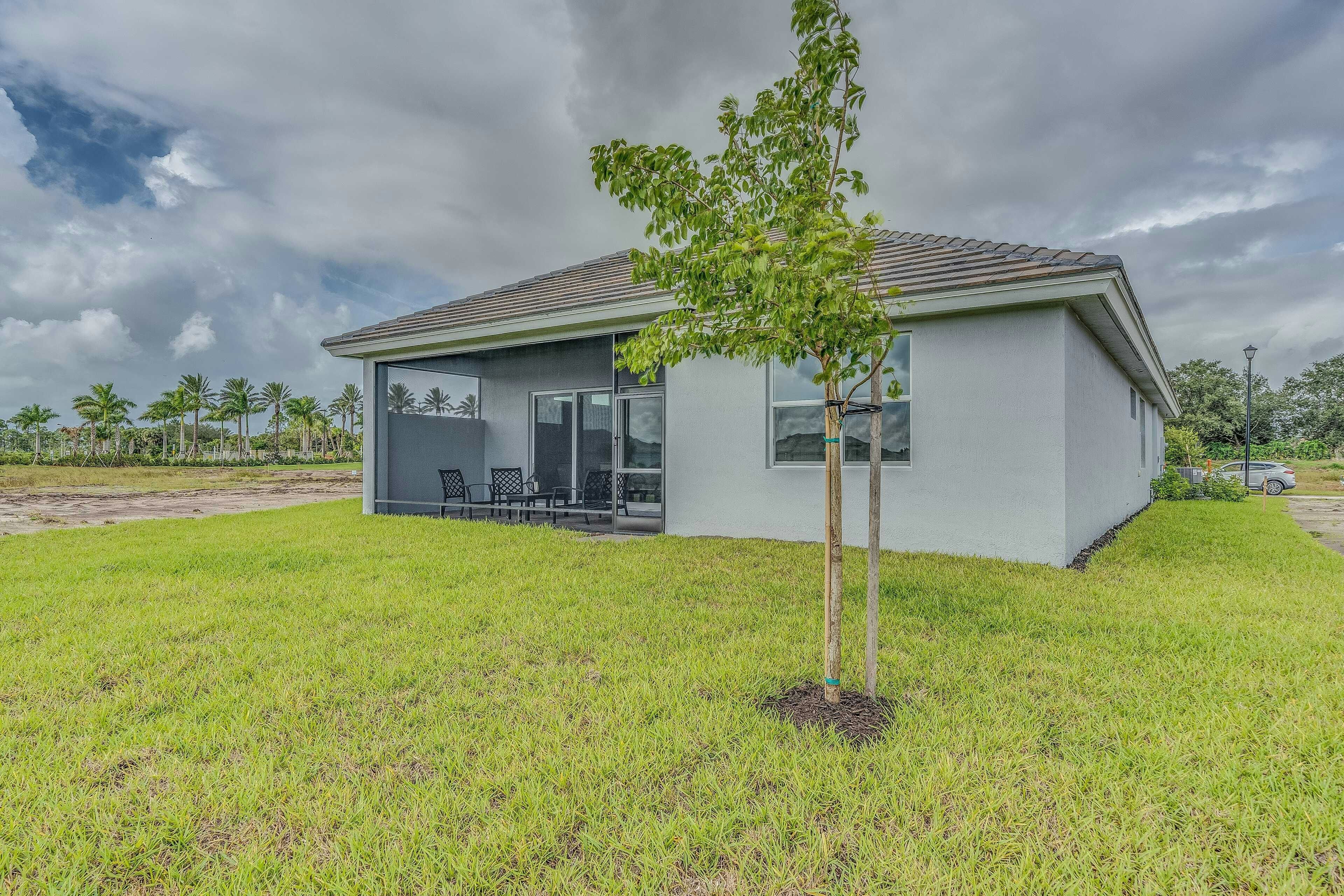 Rear Elevation | Palomar Model