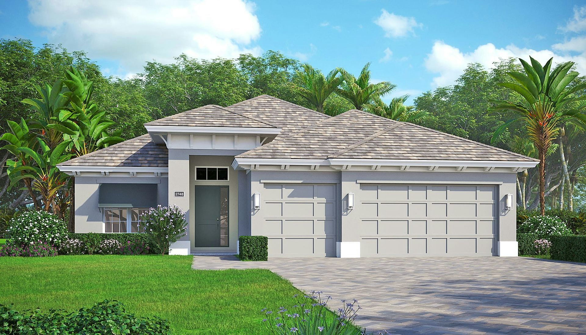 Coastal Elevation | Iris