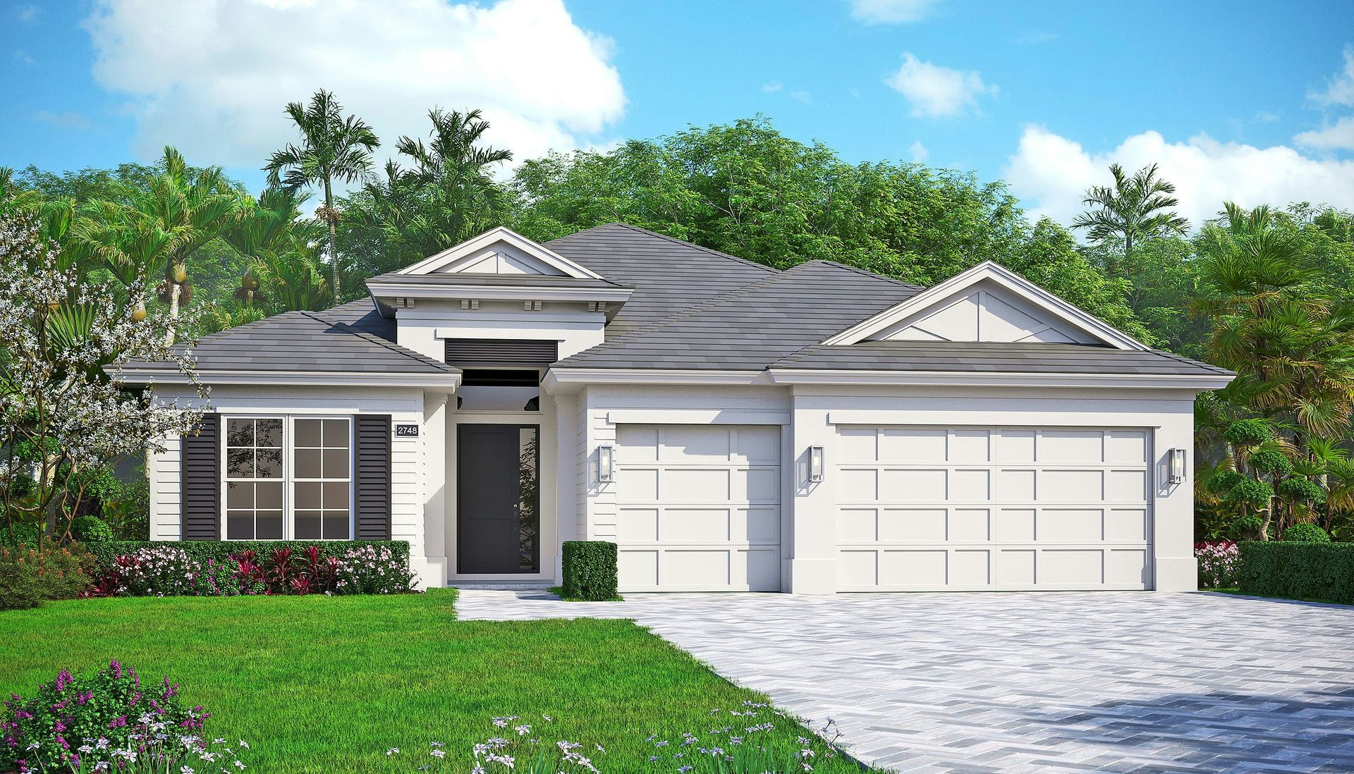 Island Elevation | Iris Grande
