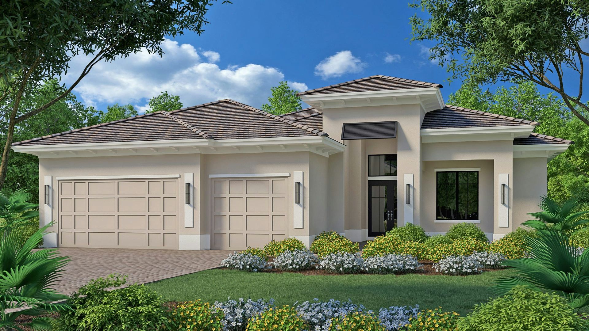 Transitional Elevation | Alessia