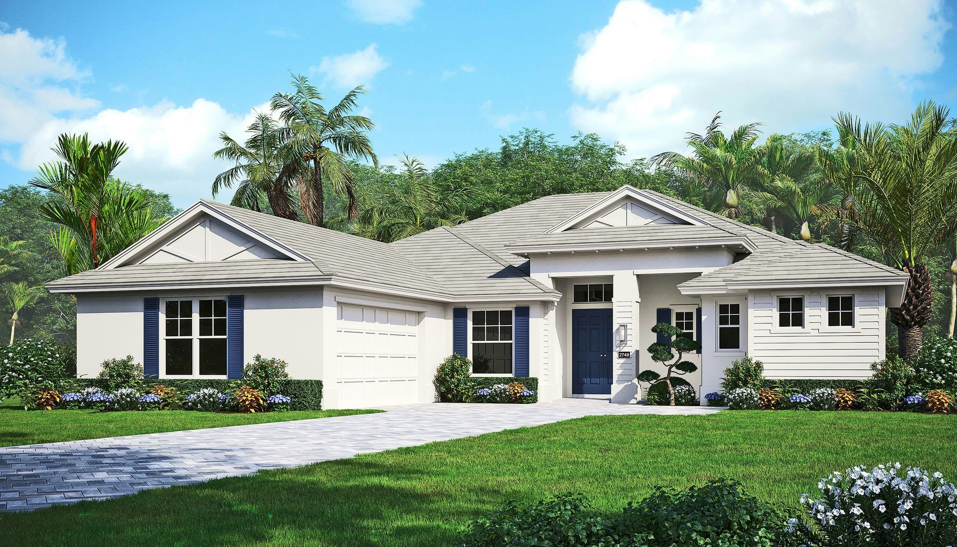 Island Elevation | Willow