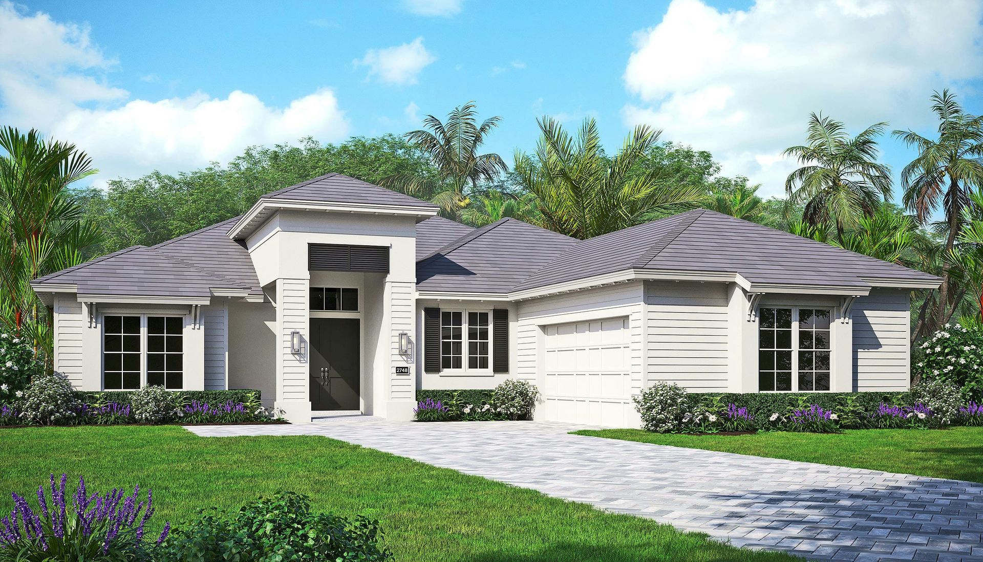 Island Elevation | Sage