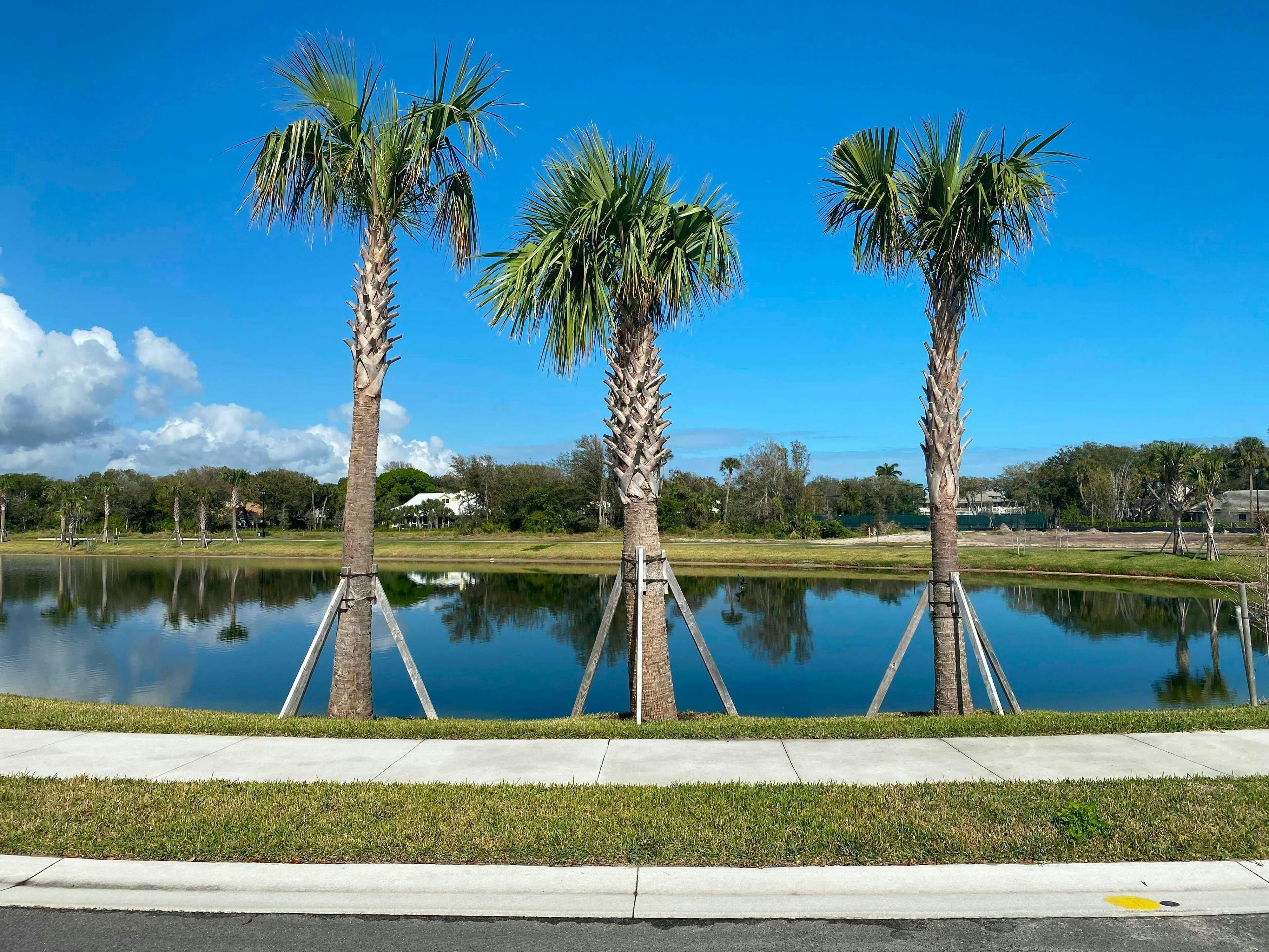 Community Lakes | The Strand