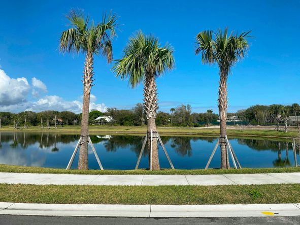 Community Lakes | The Strand