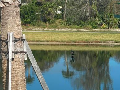 Community Lakes | The Strand