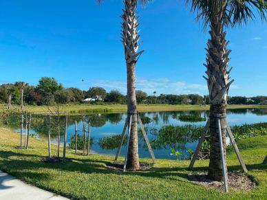 Community Lakes | The Strand