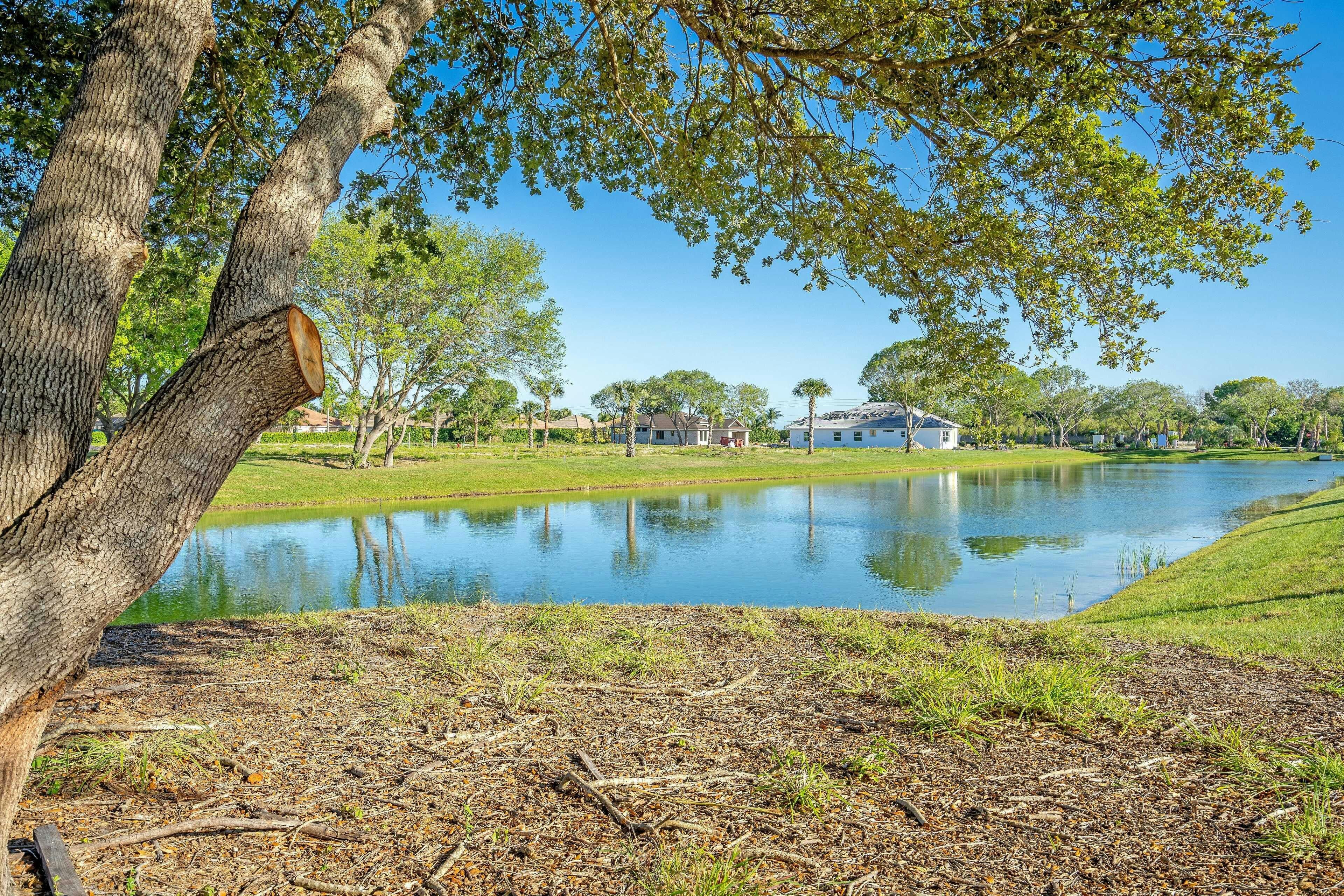 Lakes and Tall Trees | Lucaya Pointe
