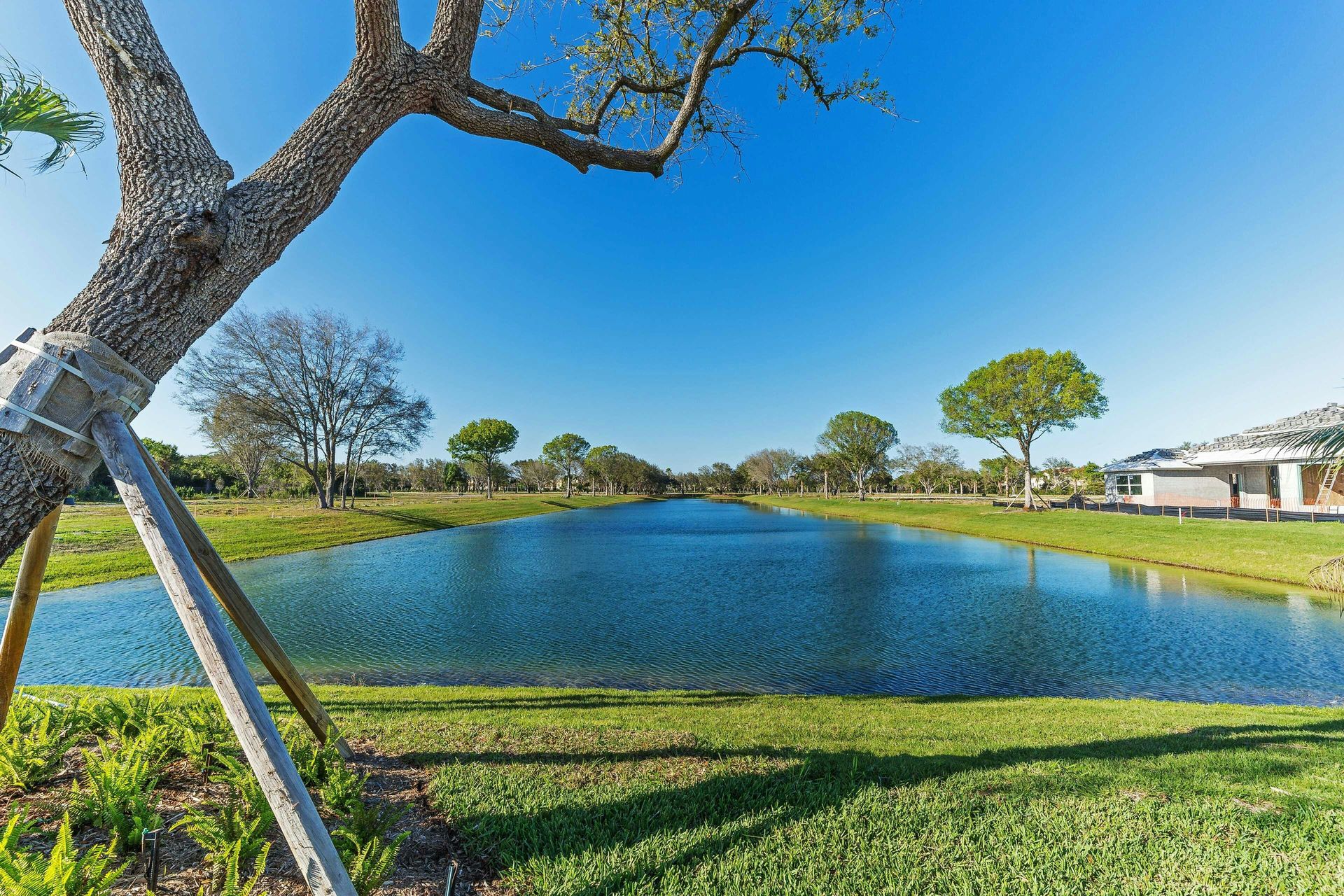 Lake view | Lucaya Pointe