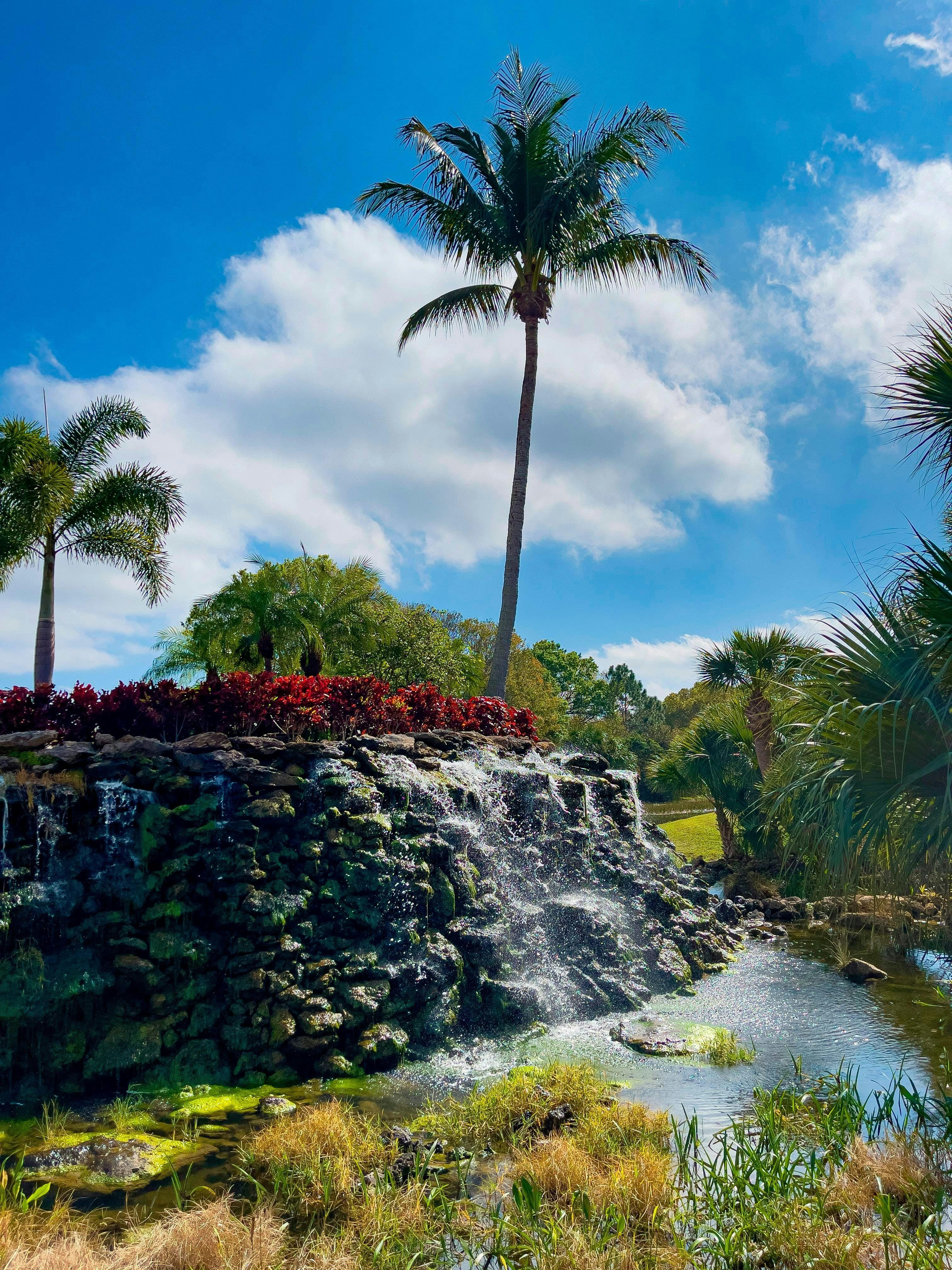 Entry Feature | The Falls at Grand Harbor