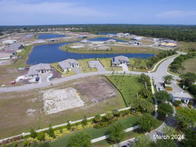 Aerial March 2021 | Bent Pine Preserve