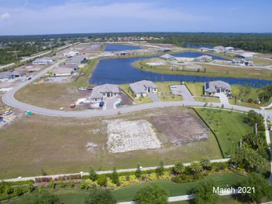 Aerial March 2021 | Bent Pine Preserve