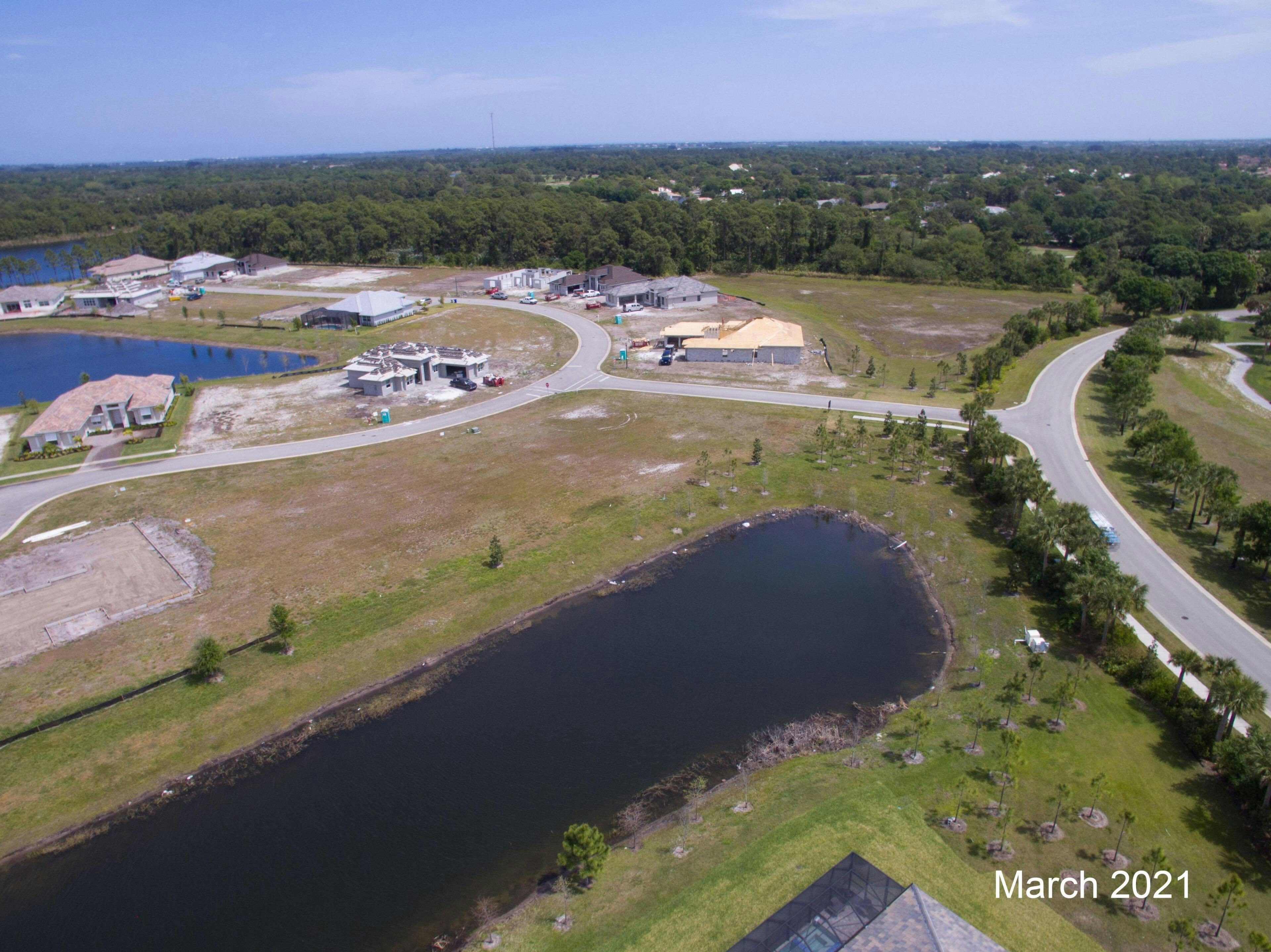 Aerial March 2021 | Bent Pine Preserve