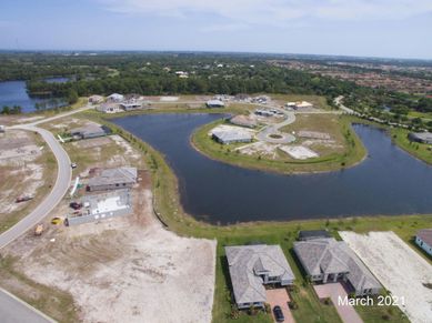 Aerial March 2021 | Bent Pine Preserve