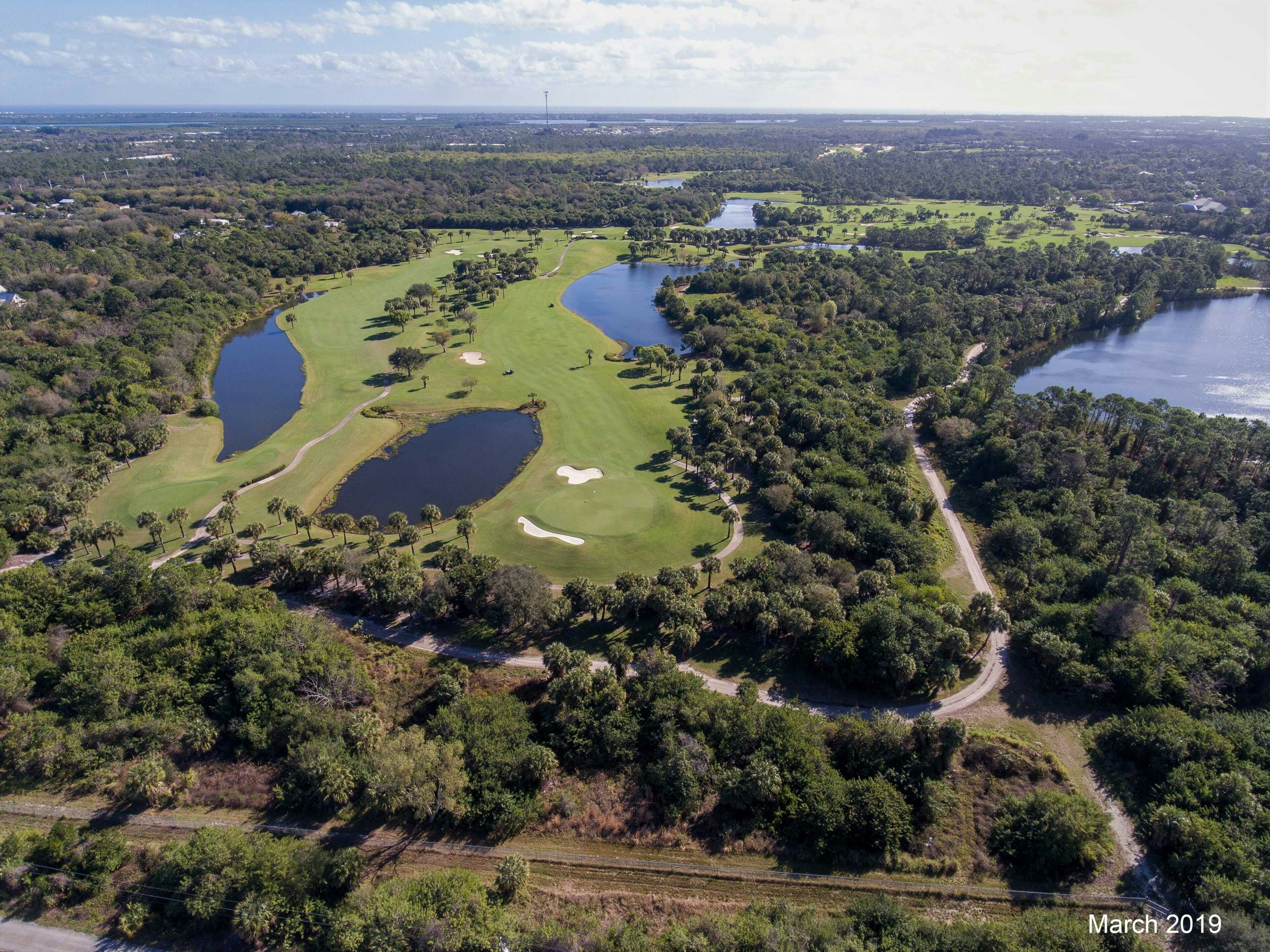 Aerial March 2019 | Bent Pine Preserve
