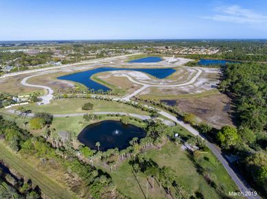 Aerial March 2019 | Bent Pine Preserve