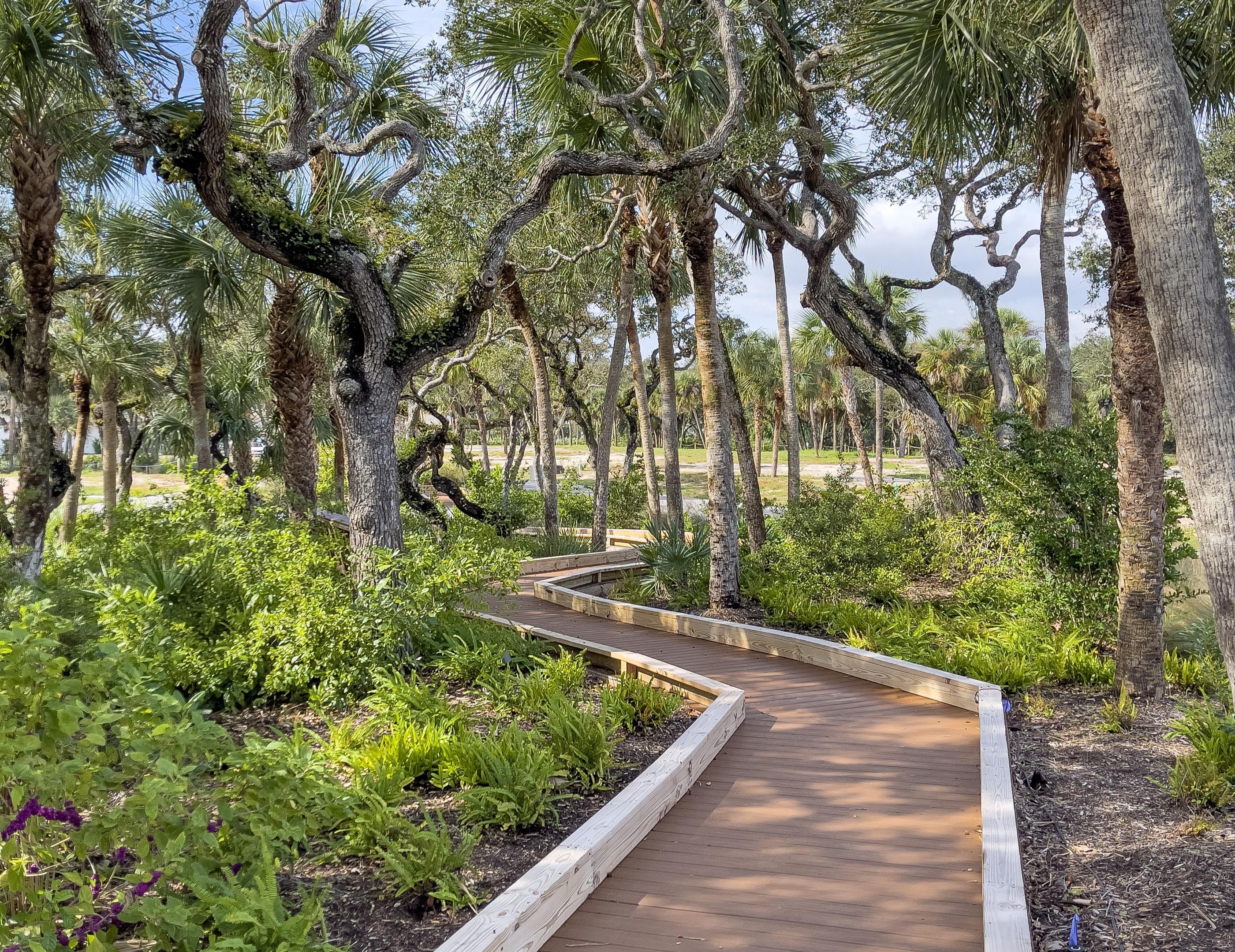 Boardwalk Nature Trail | Seaglass