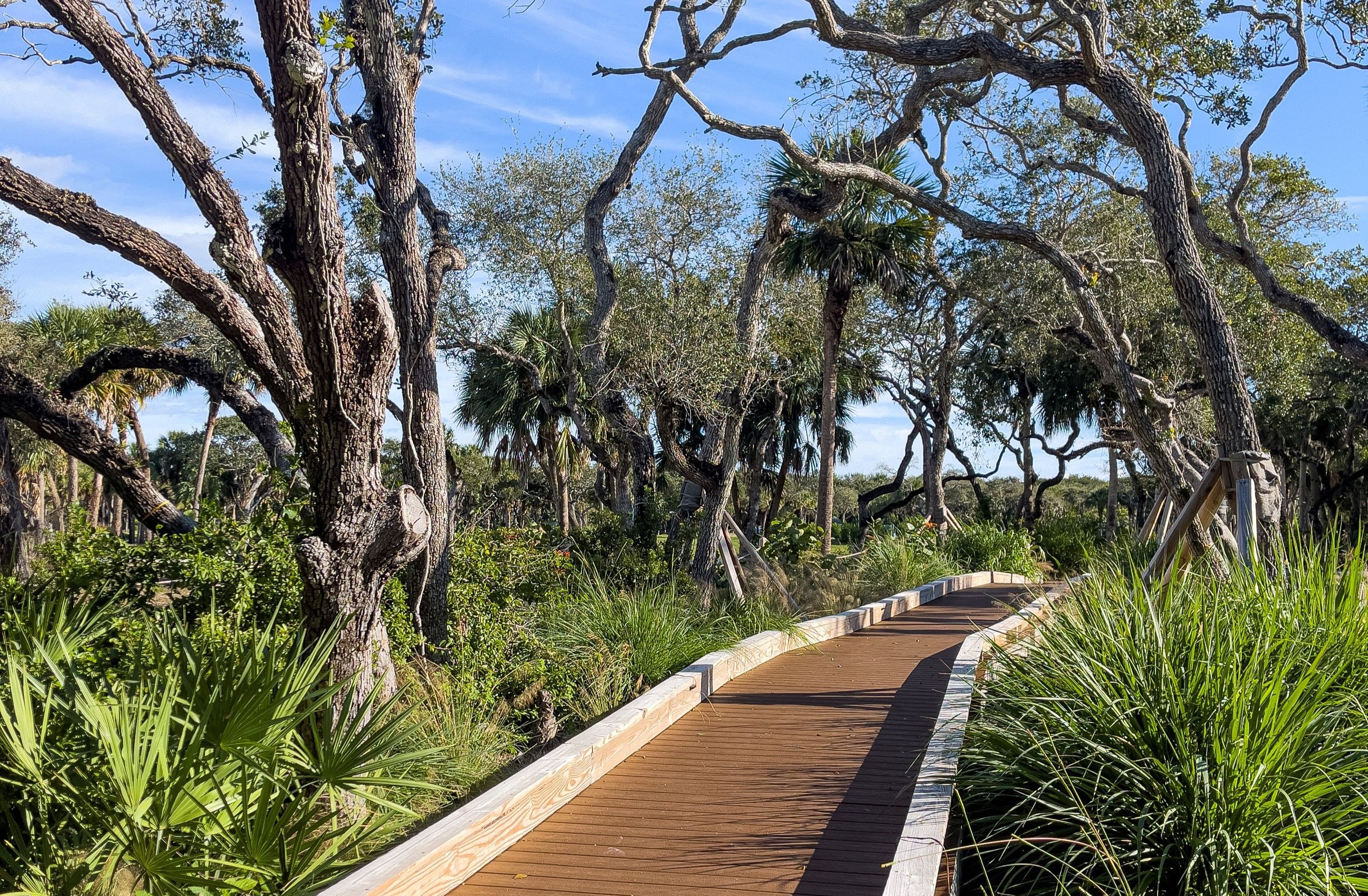 Boardwalk Nature Trail | Seaglass