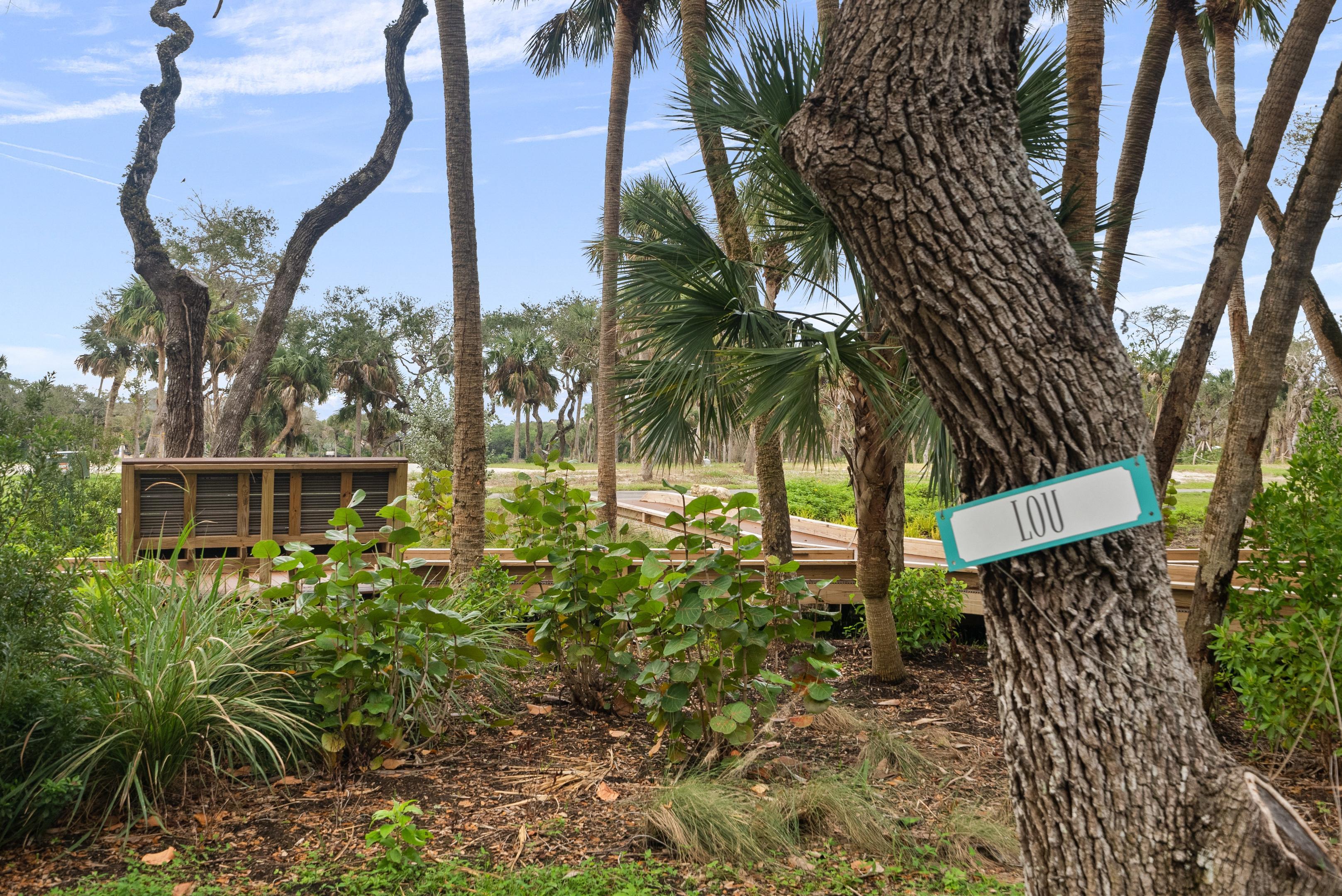 Tree Preservation | Seaglass