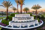 Valencia Ridge (55+) - Wesley Chapel, FL