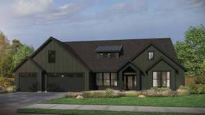 The Shasta Daylight Basement