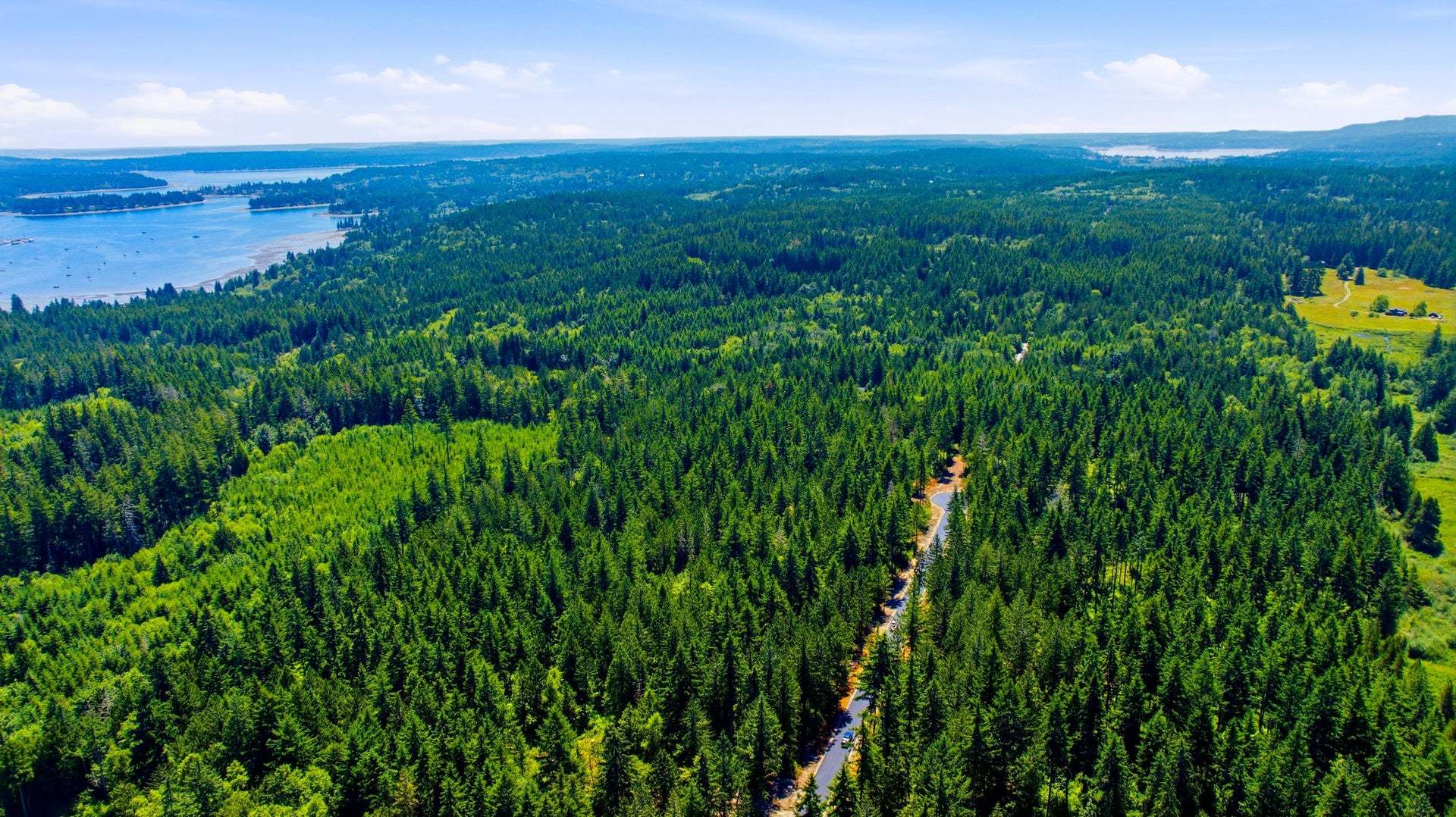 Tall Timber - Poulsbo, WA