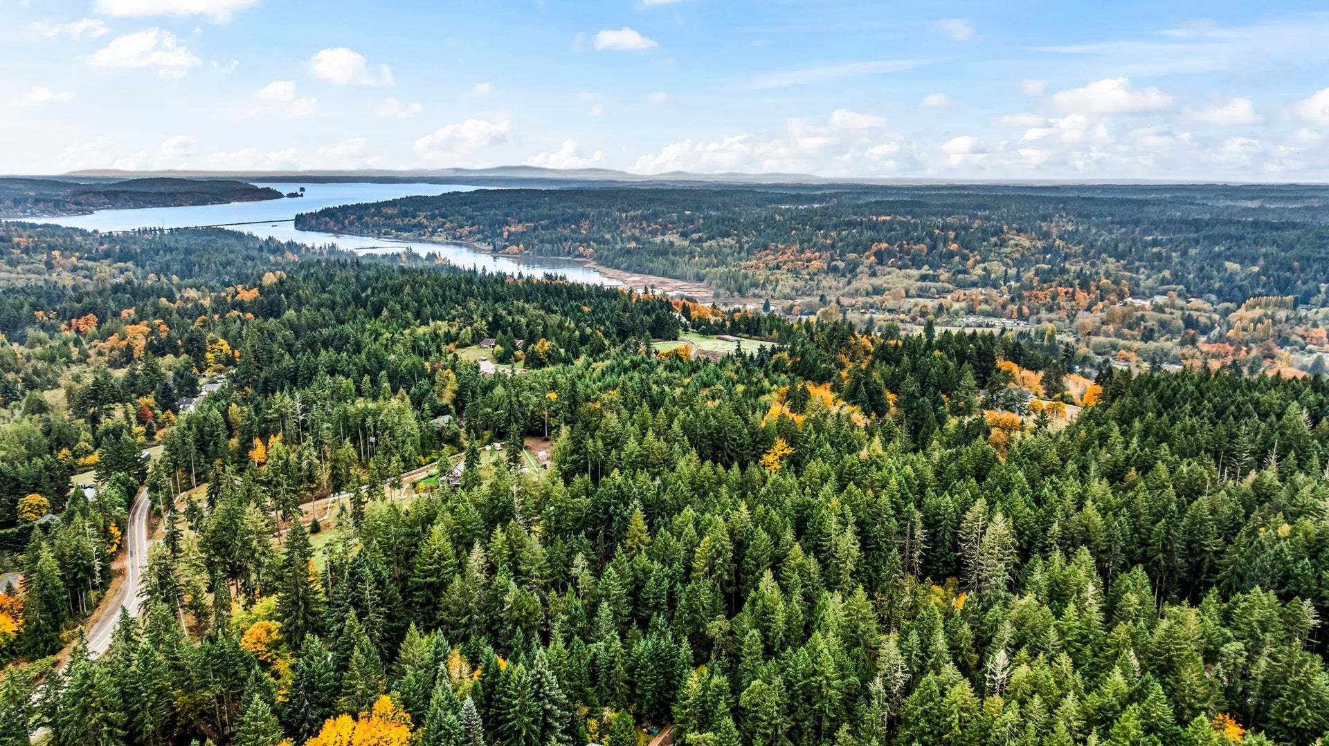 Olalla Woods - Olalla, WA