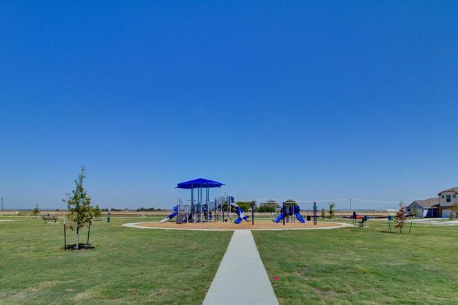 Experience premium outdoor living with thoughtfully designed blue play structures in Dauer Ranch, Texas.