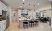 casa en Casinas at Gruene por Brightland Homes