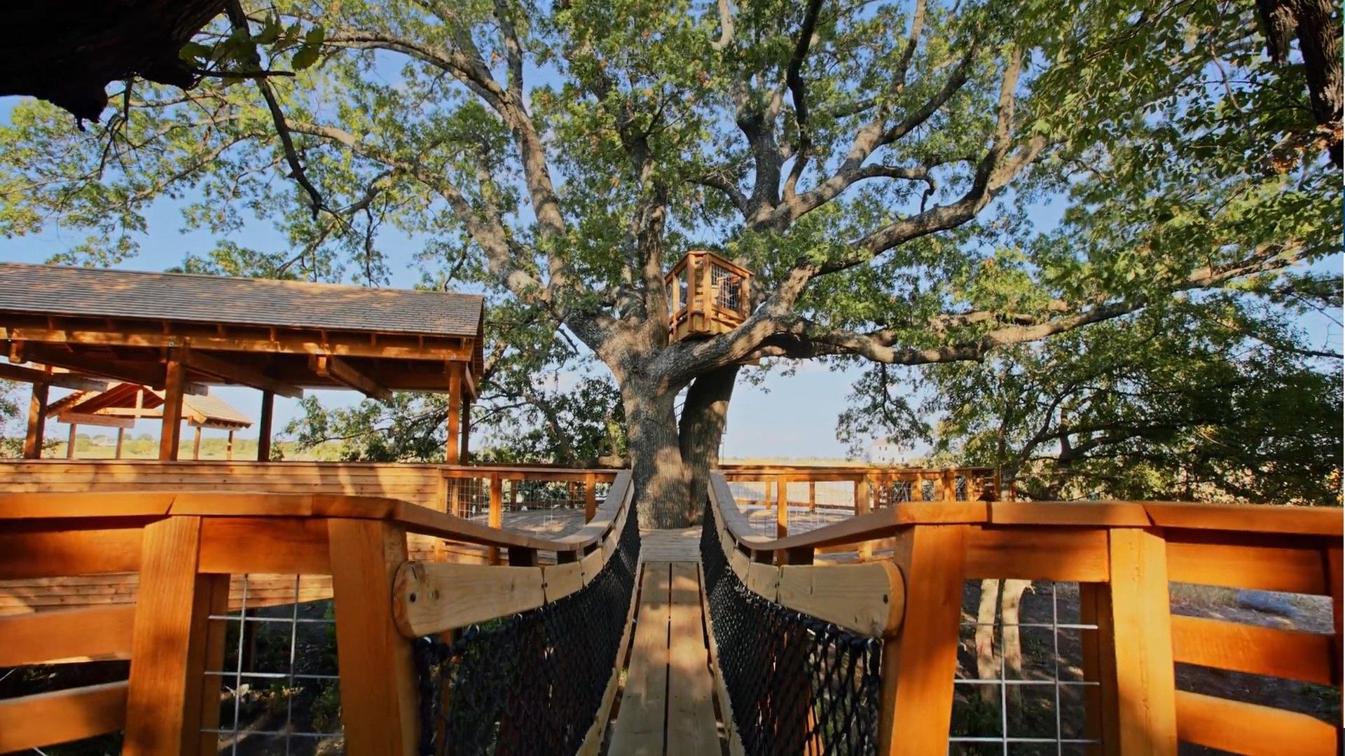 Luxurious treehouse featuring exquisite wooden craftsmanship in Solterra, Texas.