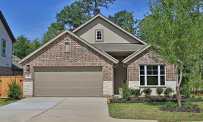 315 Landes Trail (Enclave - Maldives)