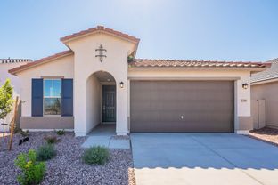 Castillo - Larkspur - Sienna Park: Buckeye, Arizona - Brightland Homes