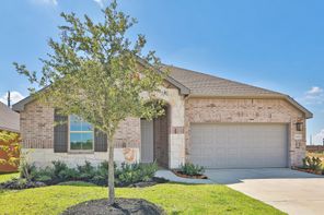21803 Paphos Drive (Premier - Mahogany)
