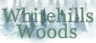 Whitehills Woods por Giguere Homes en Lansing Michigan