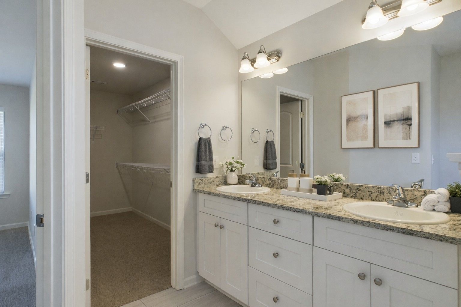 Primary Bedroom and Walk in Closet