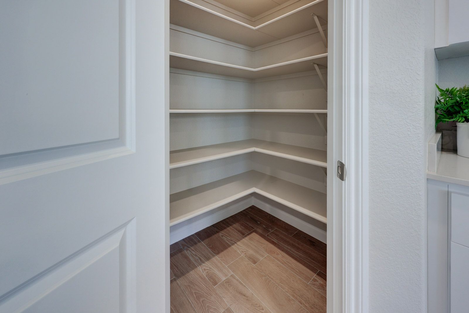 Walk-in Pantry