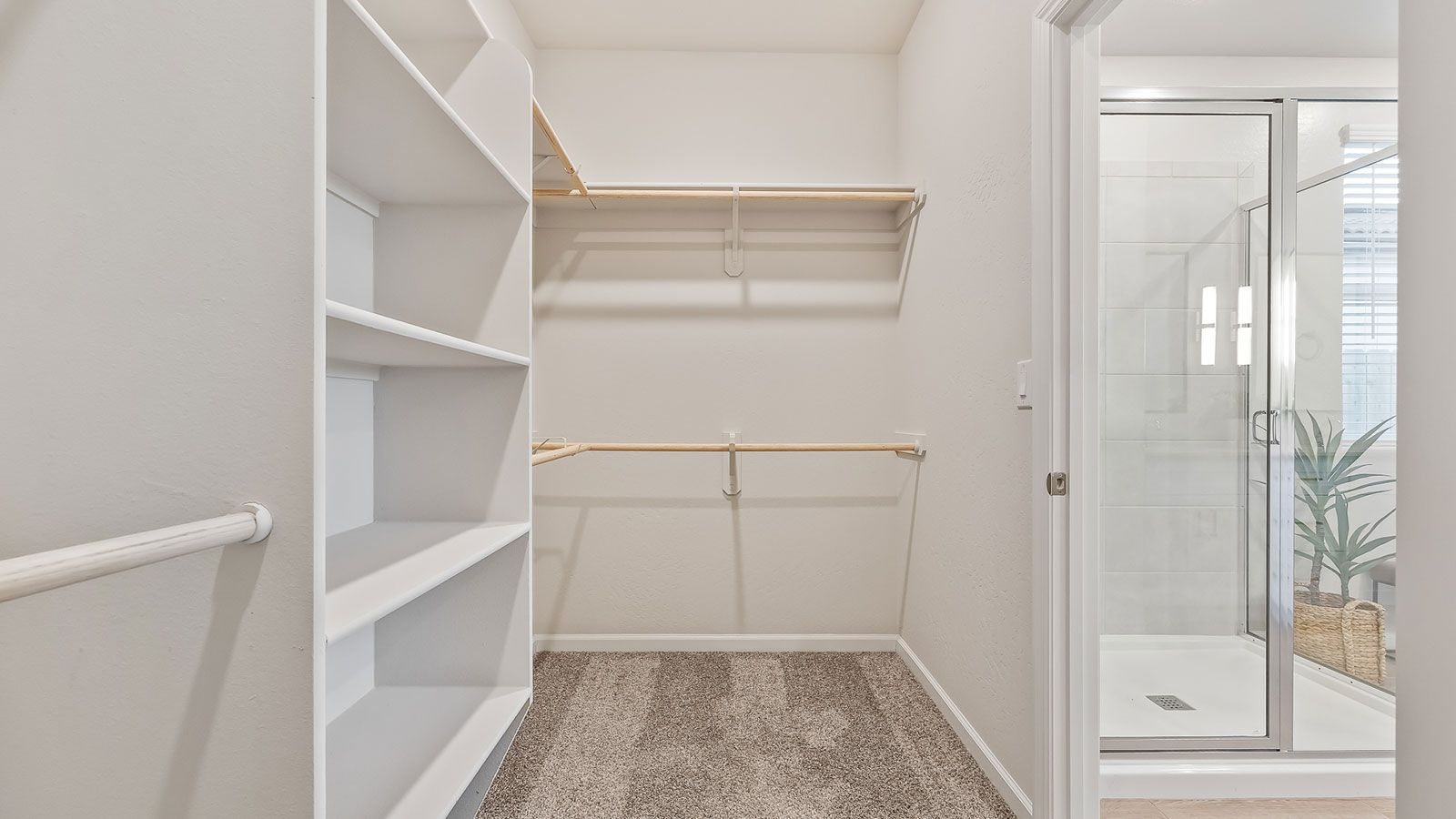 Primary Walk-In Closet