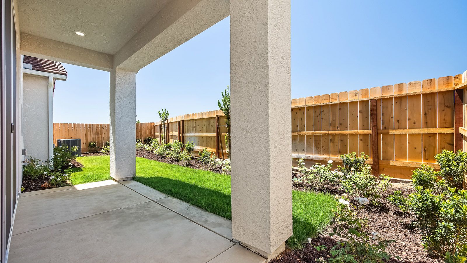Backyard