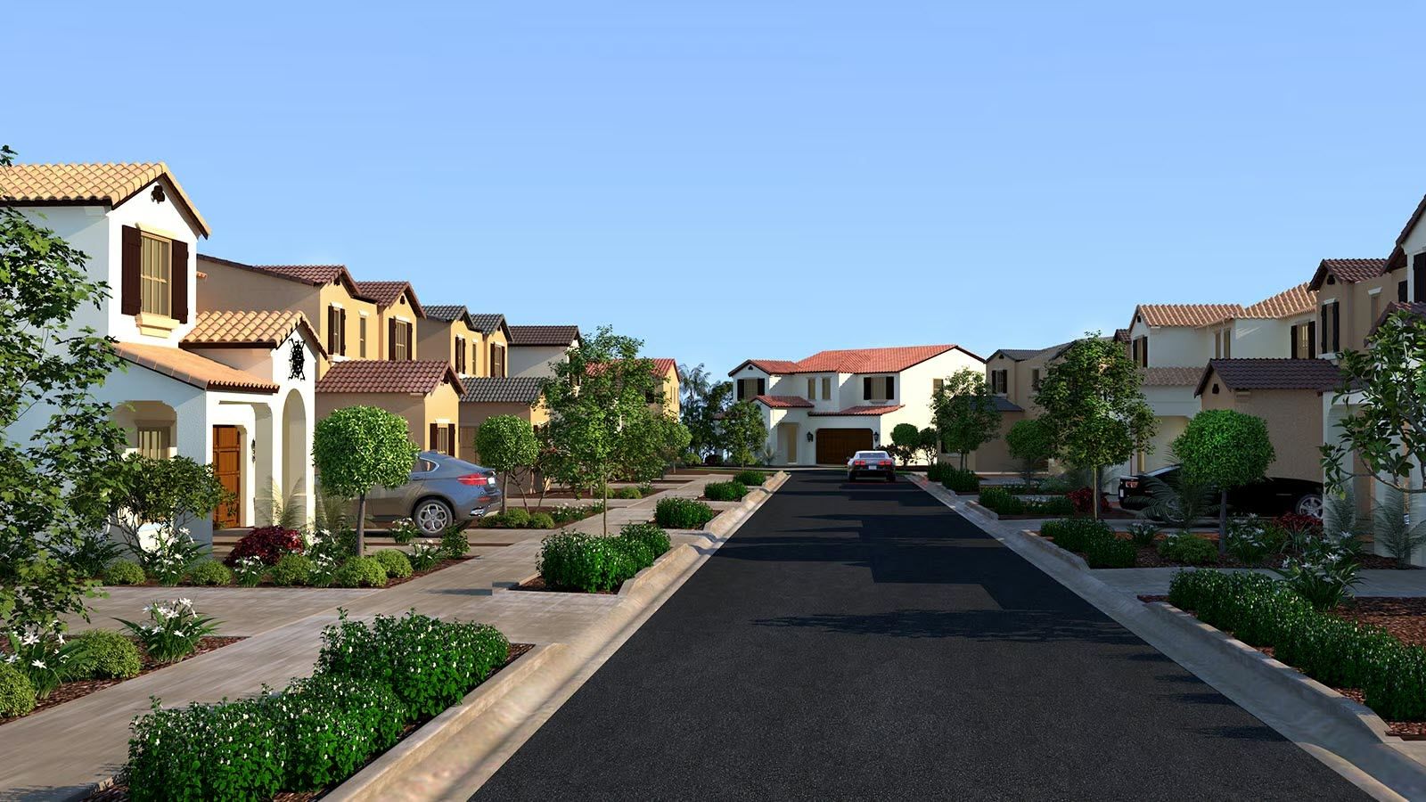 Community Image