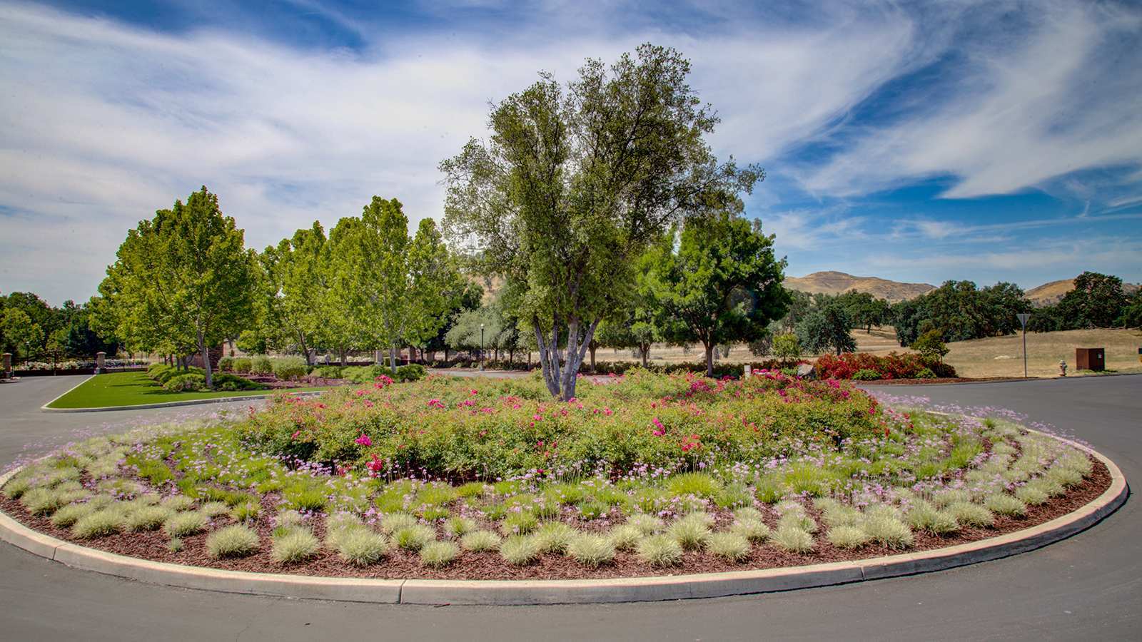 Community Image