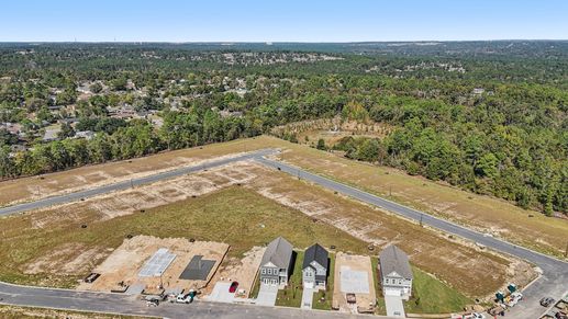 Crestfall II - Drone Shot