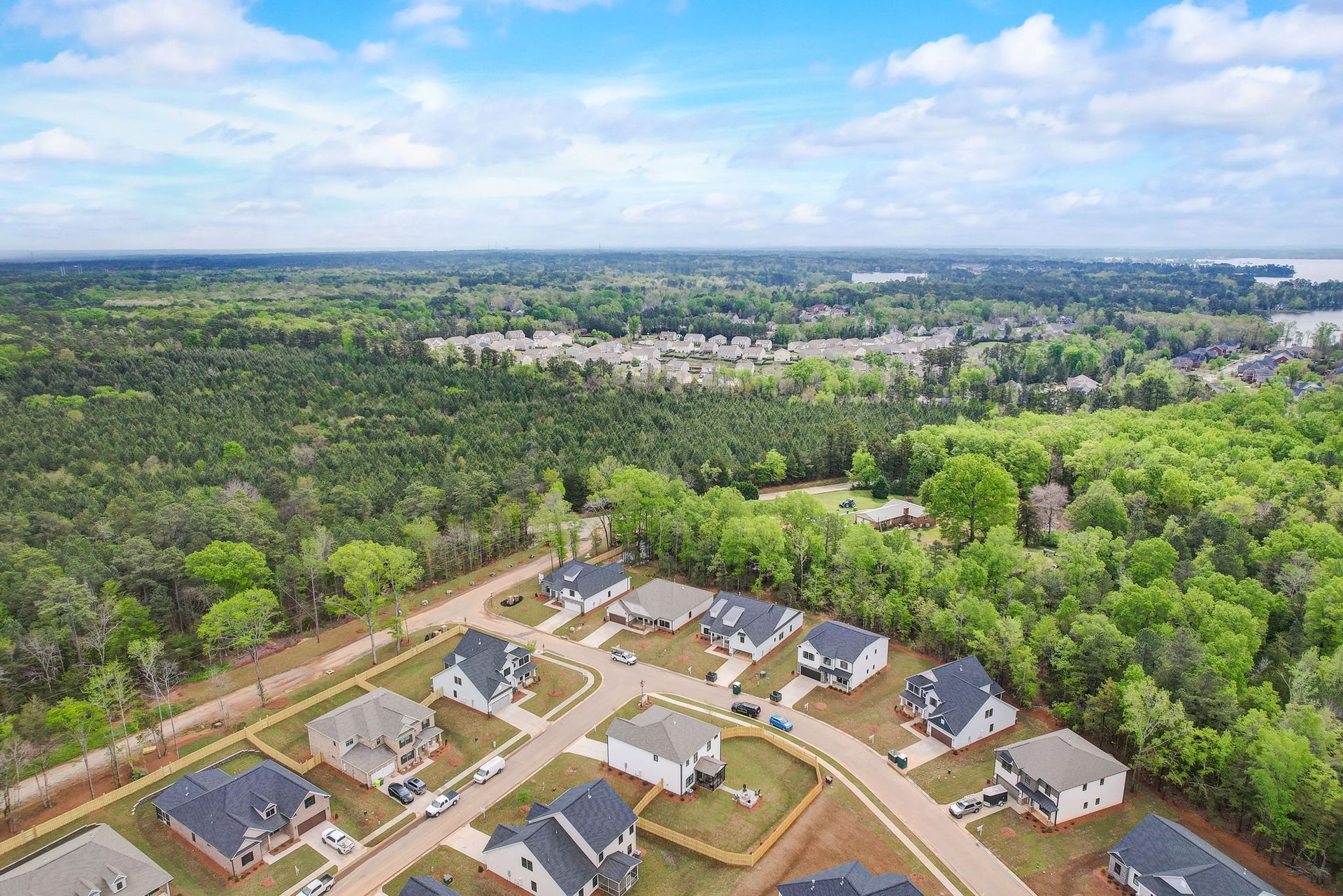 Collins Cove Aerial View