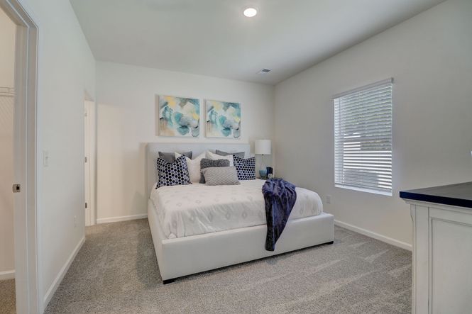 Marquis II Owner's Suite