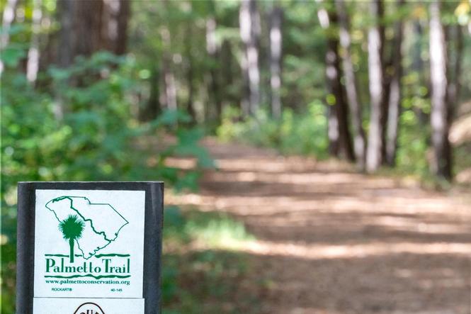 Rolling Hills Palmetto Trail