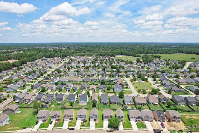 Canopy of Oaks at Hunter's Crossing 3