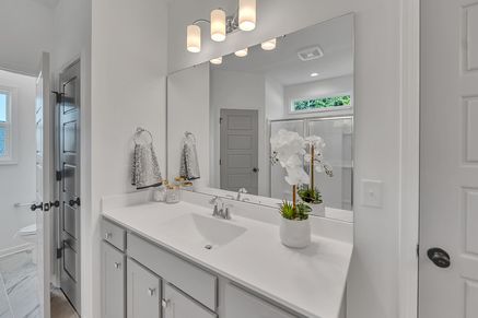 Blossom Primary Bath