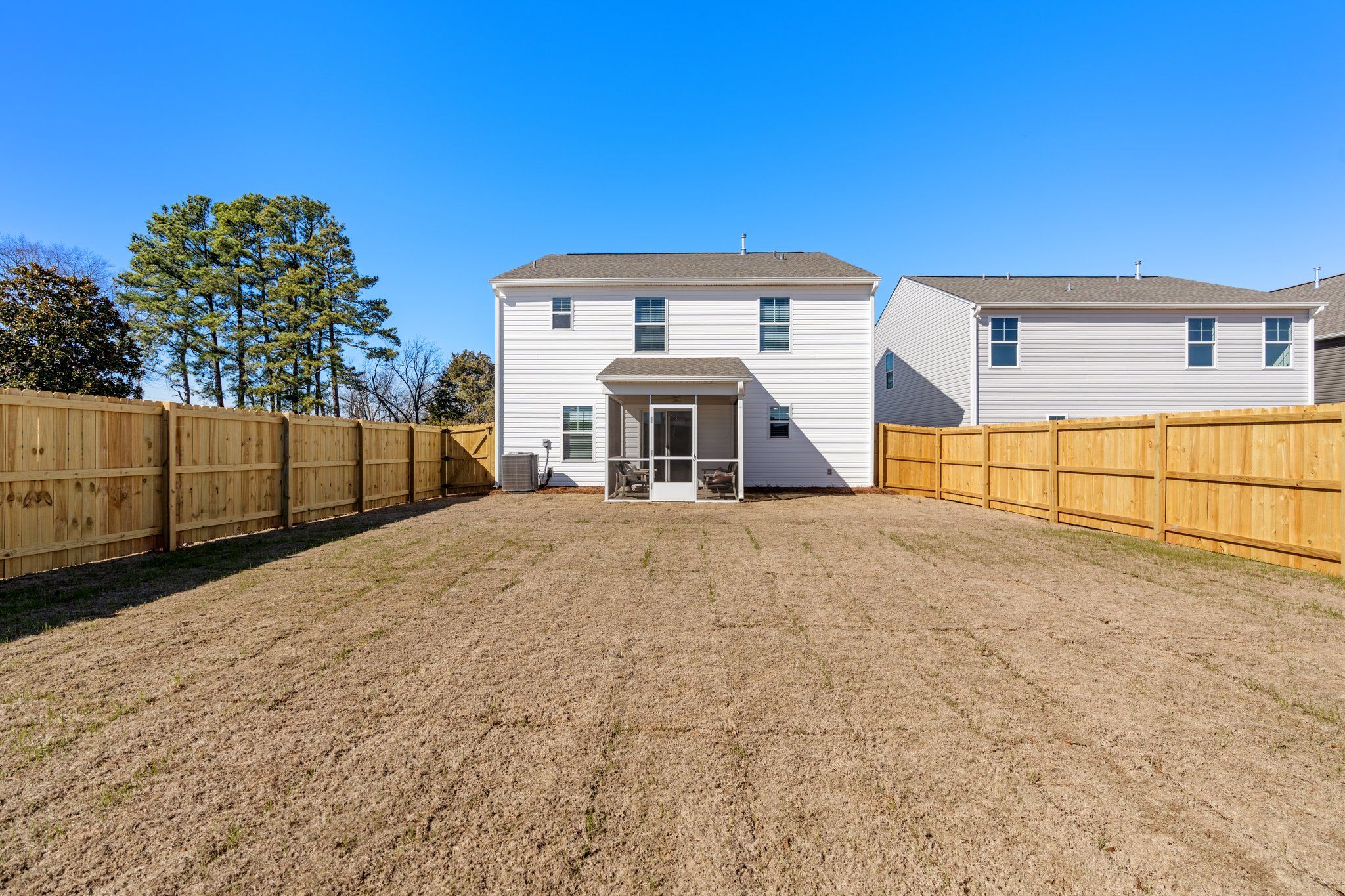 Benjamin - Back Exterior