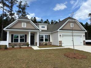 296 Palmetto Sand Loop Lot 18 (Wisteria II)