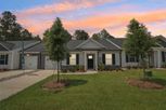 Piney Woods Bluff - Columbia, SC