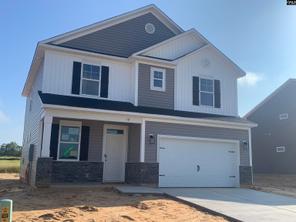 117 Dew Blossom Drive (Harper II)