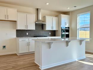 3132 Zeppelin Lane - Southbridge: Sumter, South Carolina - Great Southern Homes